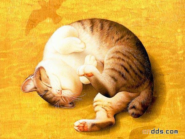 Makoto Muramatsu的萌猫插画集