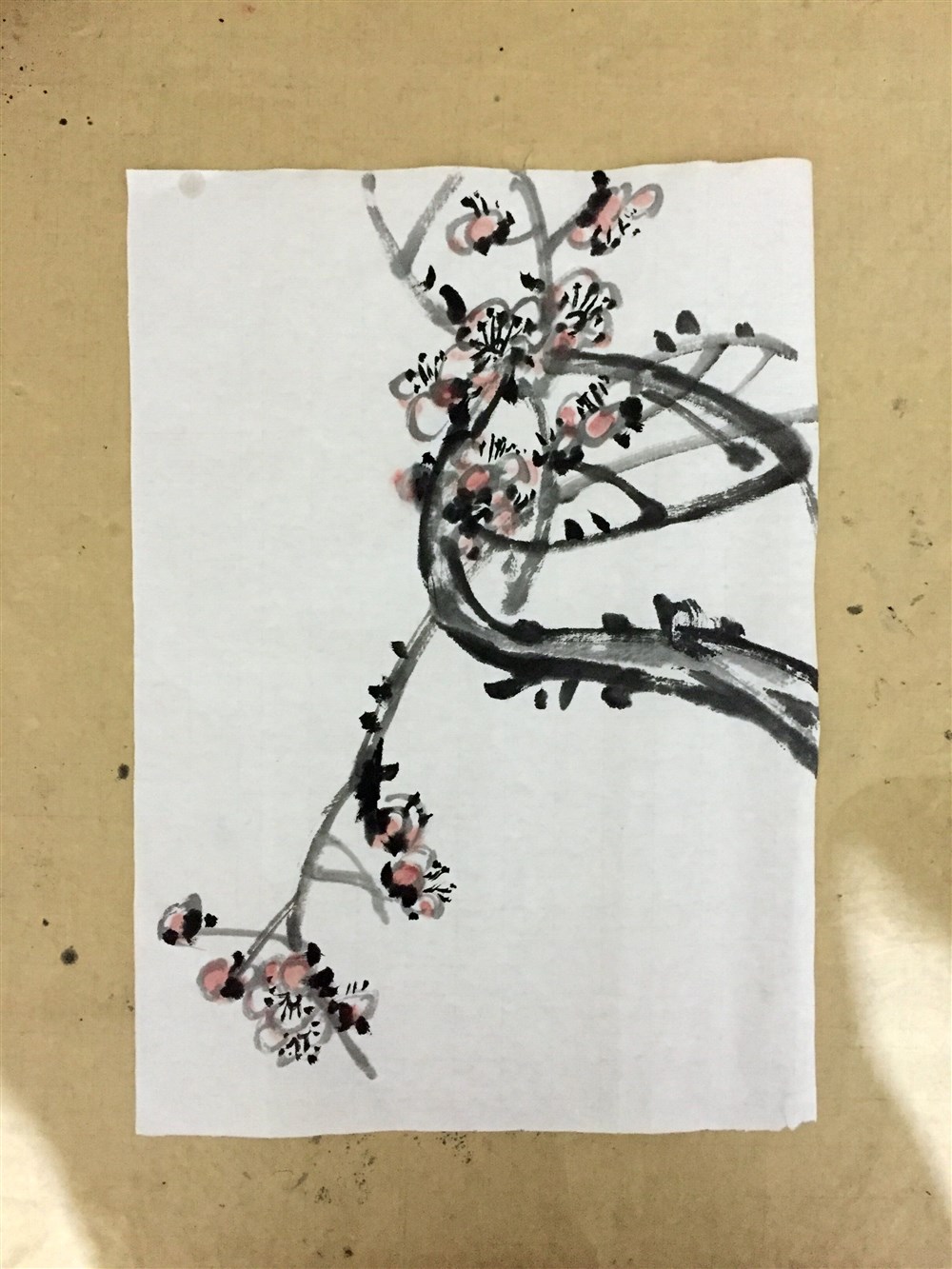 近期小品练习
