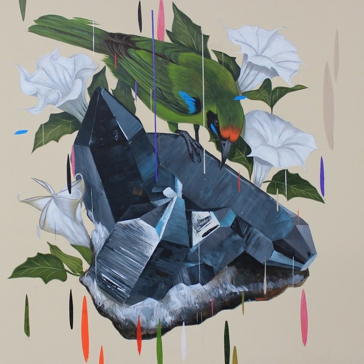 Frank Gonzales丰富多彩的鸟类插画作品欣赏