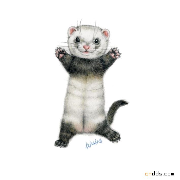 又拿你们无辜的眼神勾引我可爱插画设计
