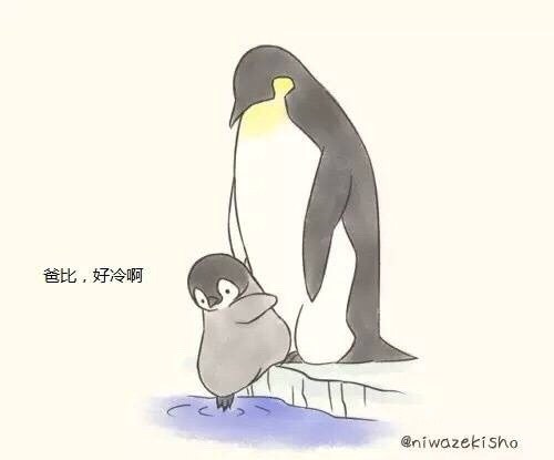 可爱萌萌的企鹅父子  小漫画