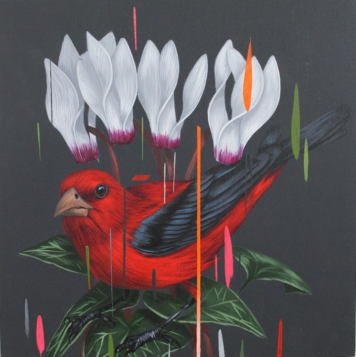 Frank Gonzales丰富多彩的鸟类插画作品欣赏