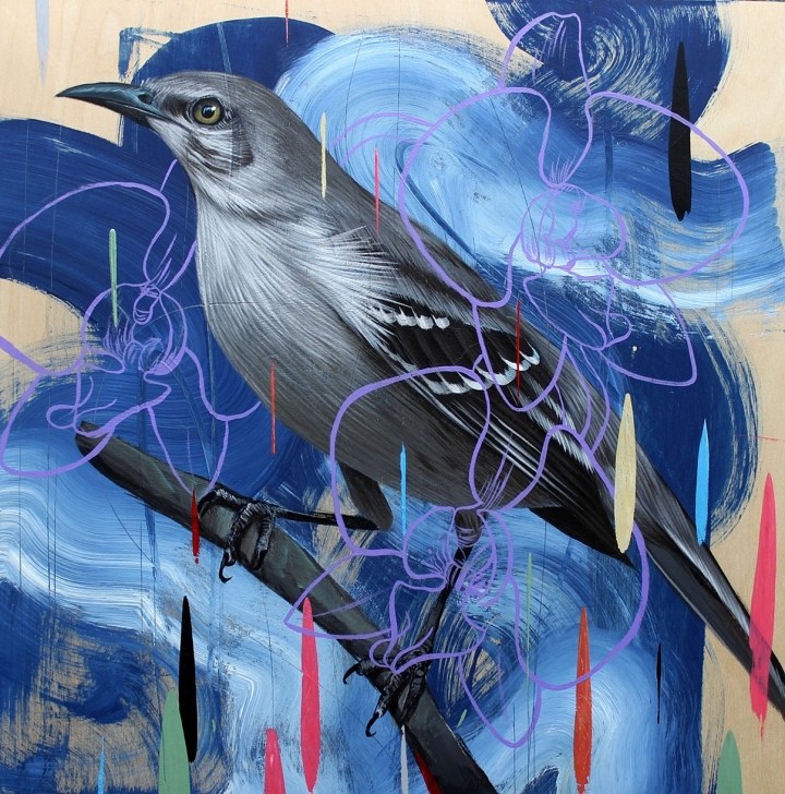 Frank Gonzales丰富多彩的鸟类插画作品欣赏