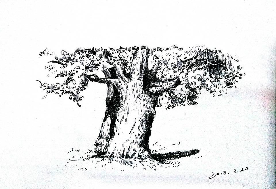 钢笔画
