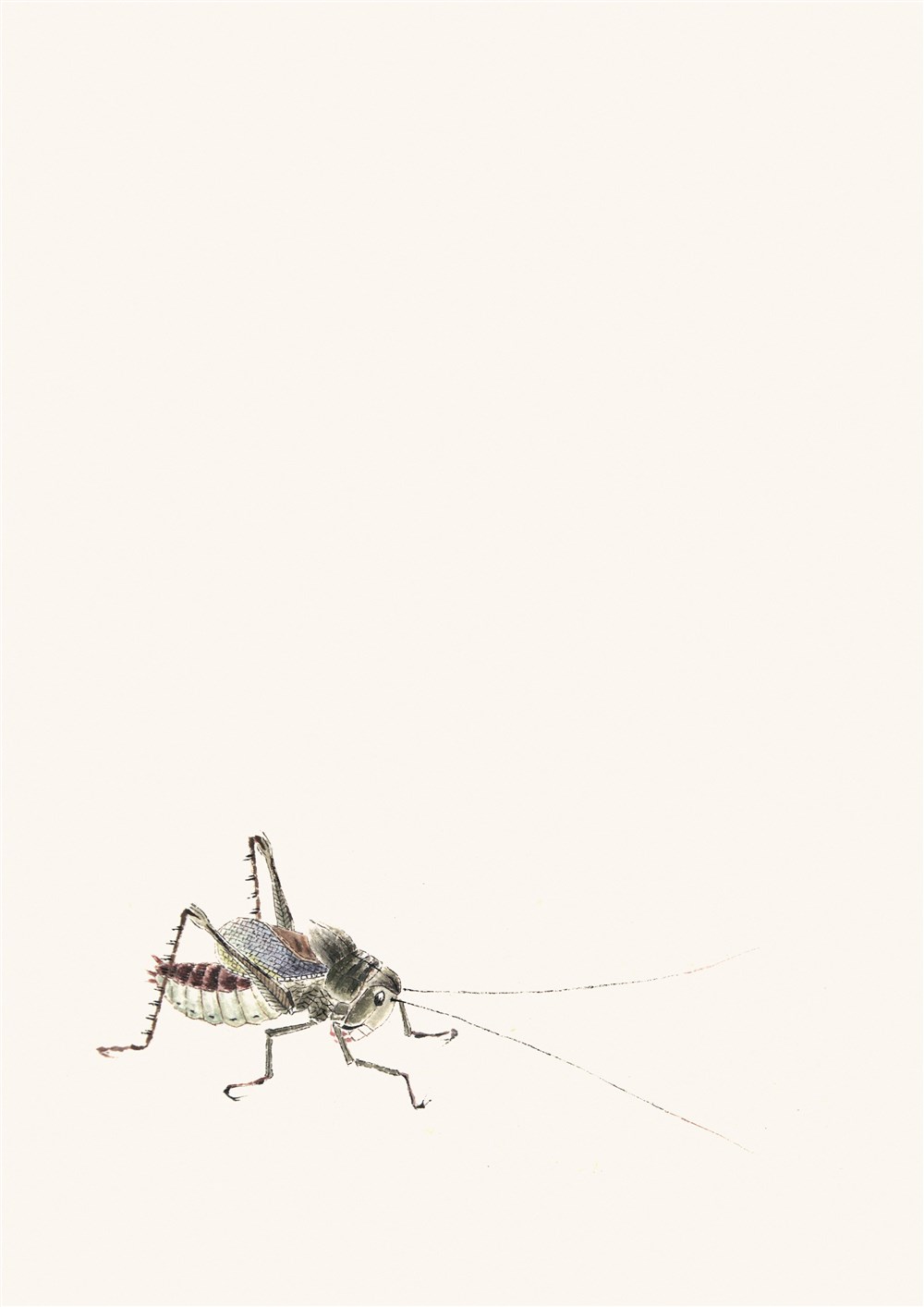 近期草虫练习