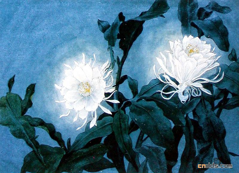 楚楚之花—马楚华作品欣赏