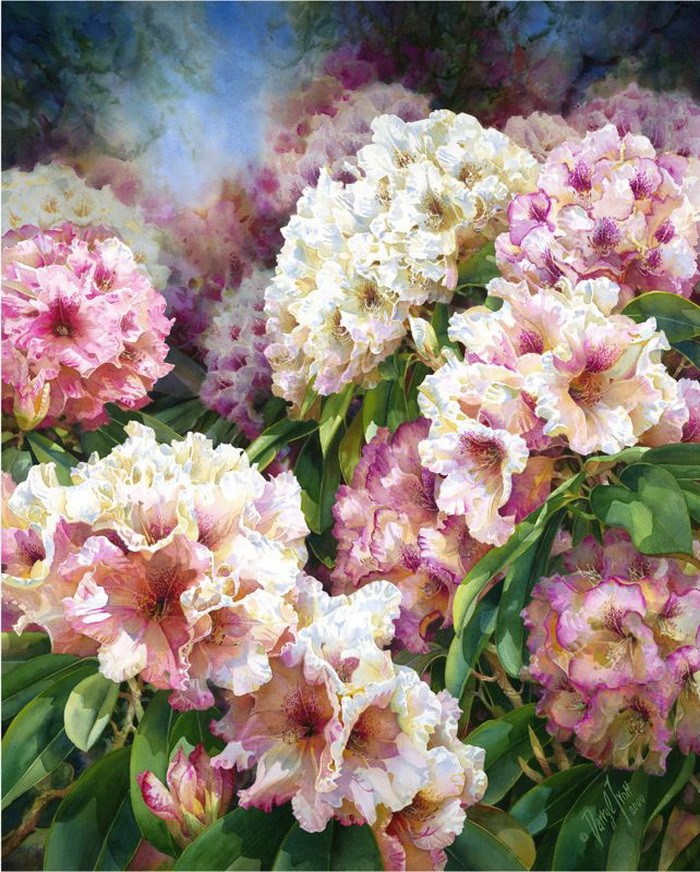 澳大利亞Darryl Trott水彩画作品