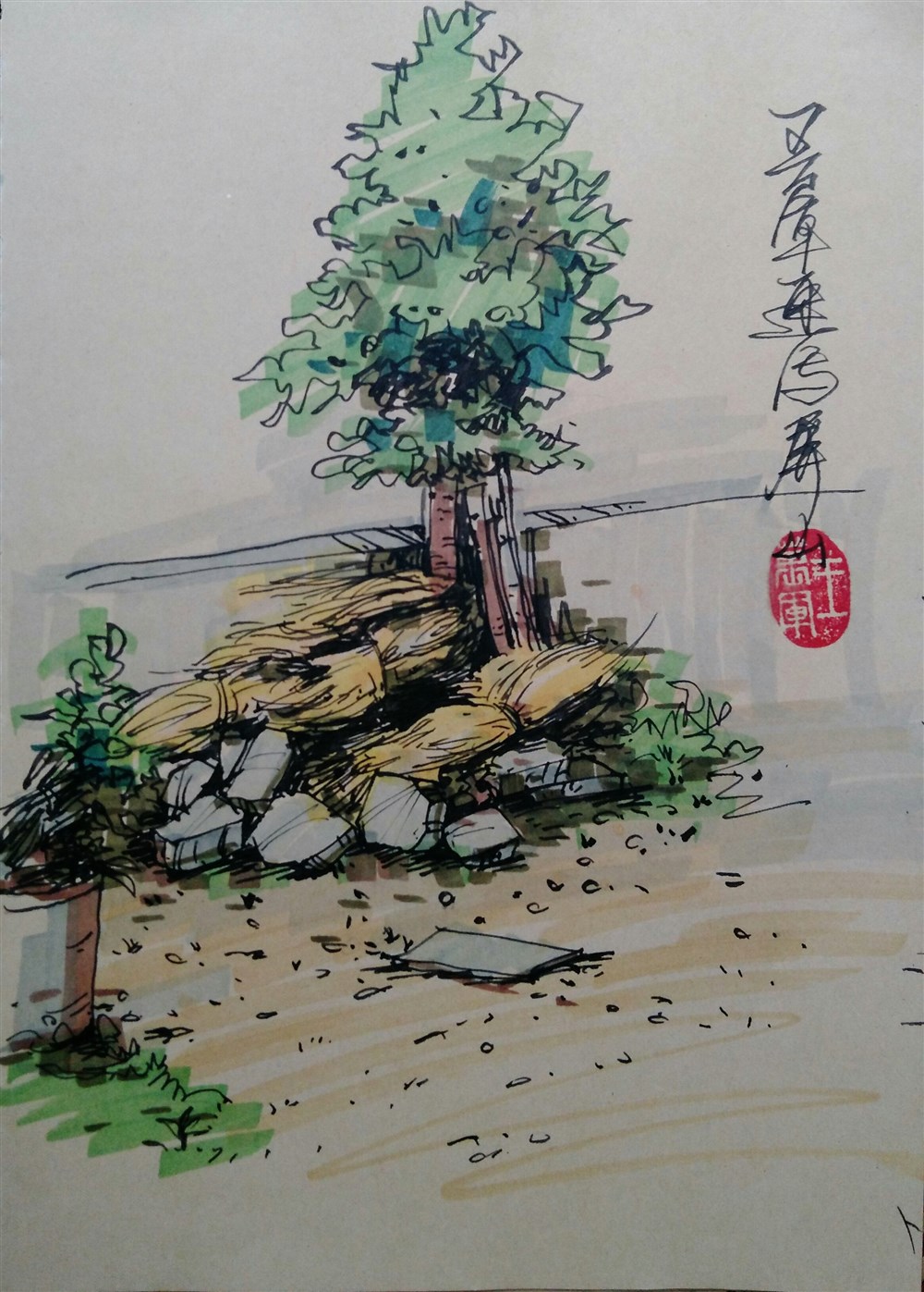 我的艺术梦