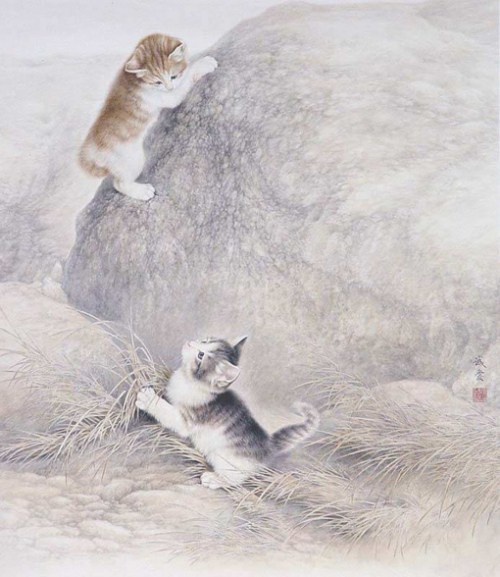 优雅的猫唯美插画艺术