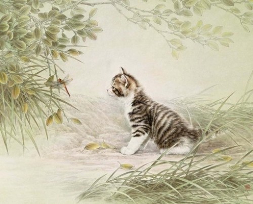 优雅的猫唯美插画艺术