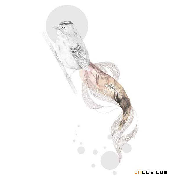 简洁很有灵气的国外动物插画设计