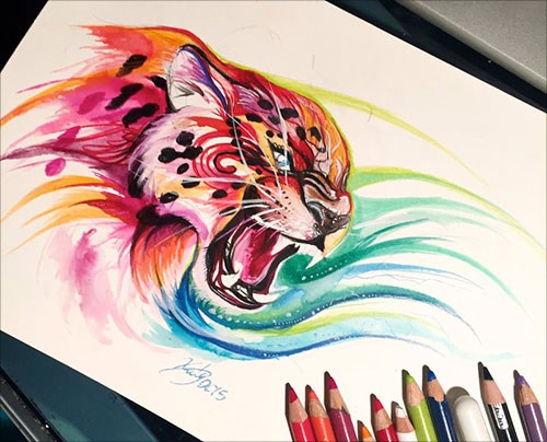 Katy Lipscomb动物彩铅插画作品欣赏