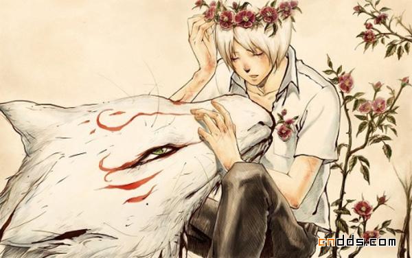 精心挑选的唯美插画设计