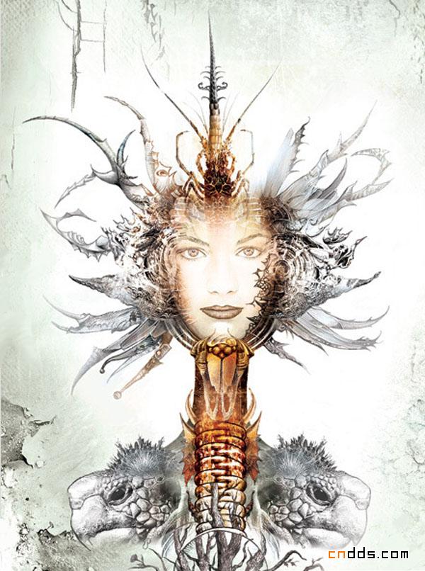 美轮美奂的Kseniya Lvova插画欣赏