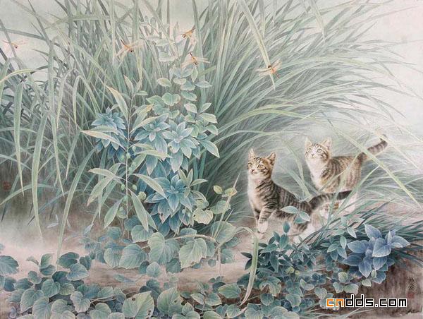 快要跳出画面的可爱小猫插画
