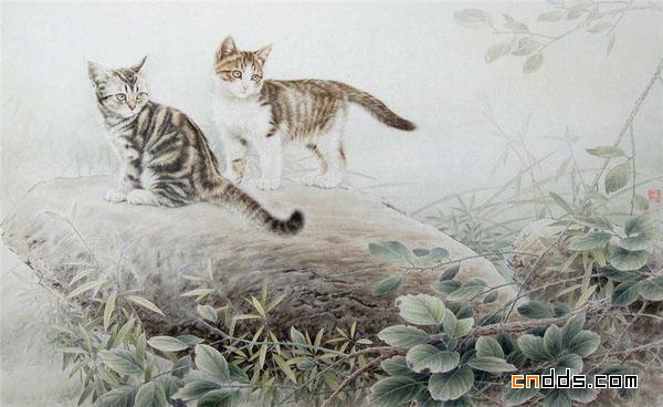 快要跳出画面的可爱小猫插画