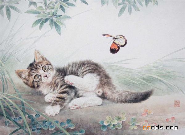 快要跳出画面的可爱小猫插画