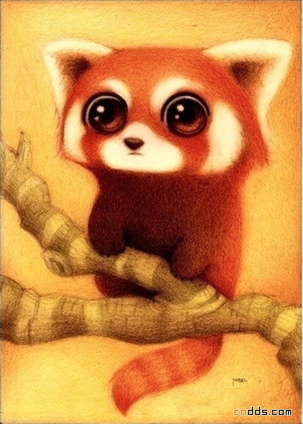 细细品味小动物给你带来的不一样味道的插画