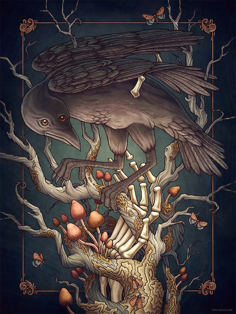 色彩诱人的精致自然插画设计
