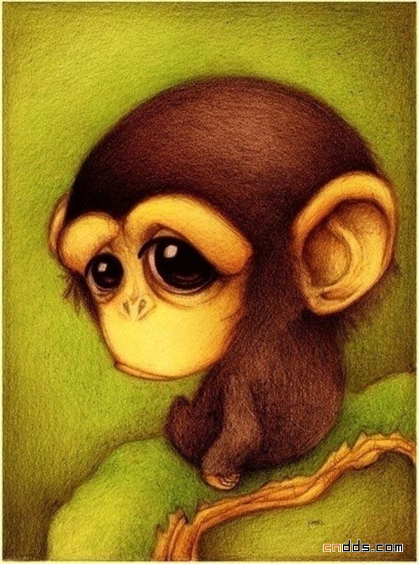 细细品味小动物给你带来的不一样味道的插画