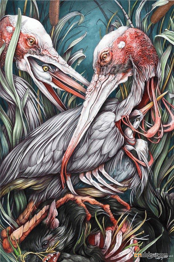 有强烈形式美感的插画
