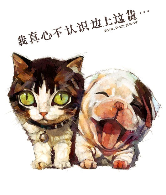 哪些萌呆了的小家伙们