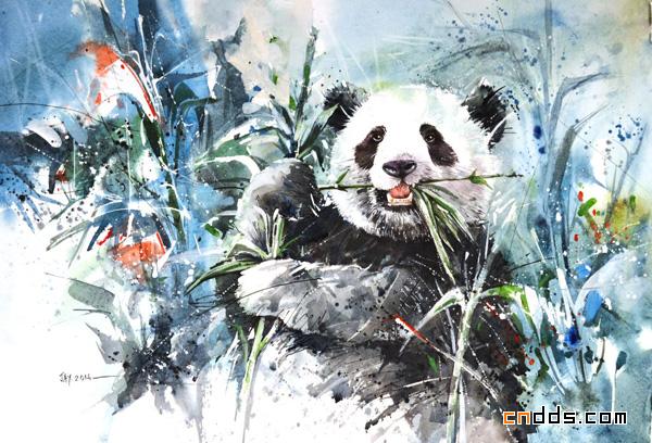 给动物添点“颜色”水彩插画欣赏