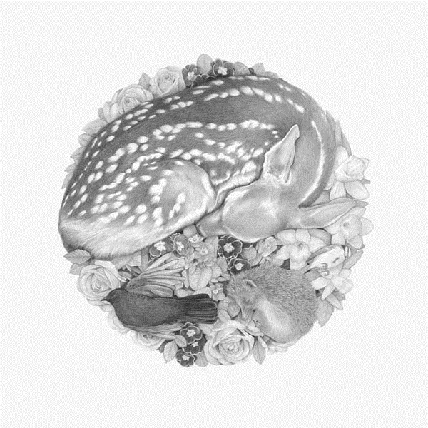 Denise Nestor的铅笔绘画作品