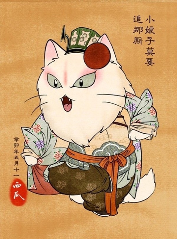 猫猫的各种造型