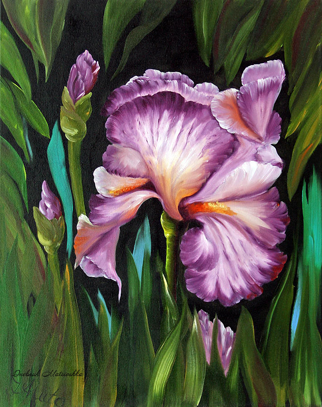 细腻精美花鸟油画欣赏