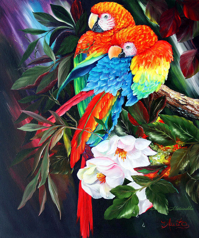 细腻精美花鸟油画欣赏
