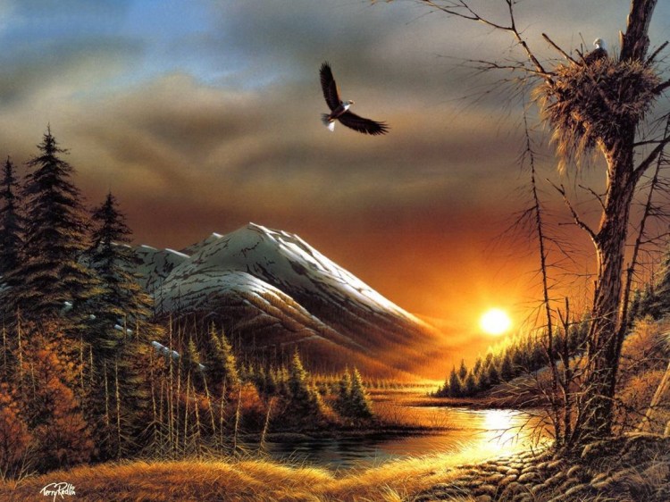 美国Terry Redlin 美景写实佳作
