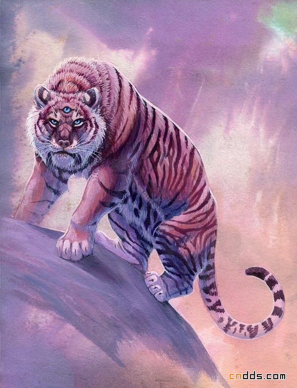 动物系列炫彩插画作品