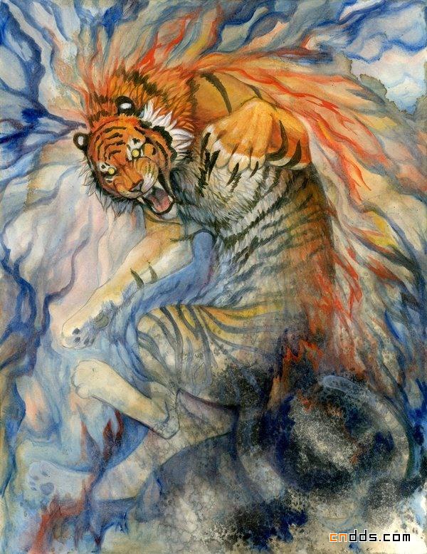 动物系列炫彩插画作品