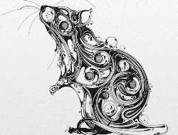 流动性线条的生动插画欣赏