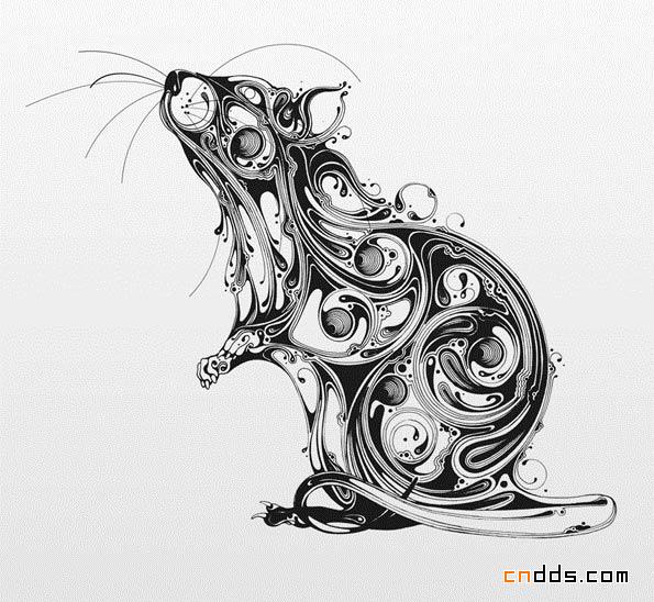 流动性线条的生动插画欣赏