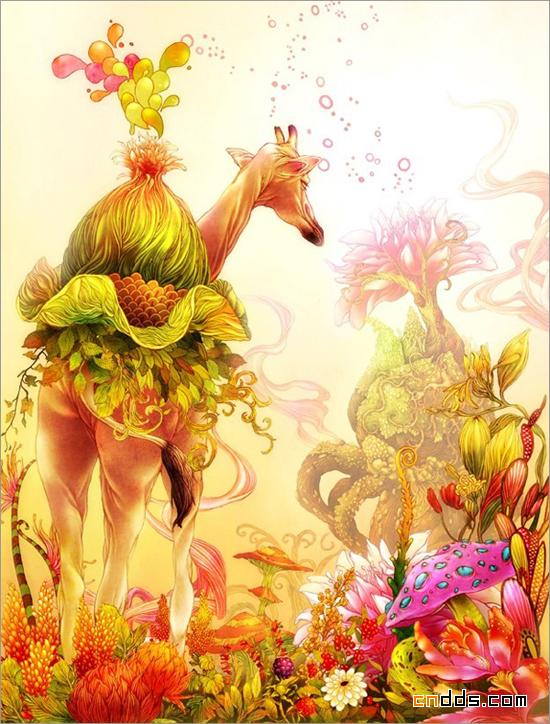插画带你走进曼妙的花花世界