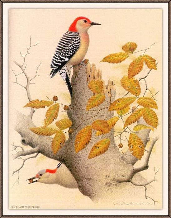 精细花鸟工笔画