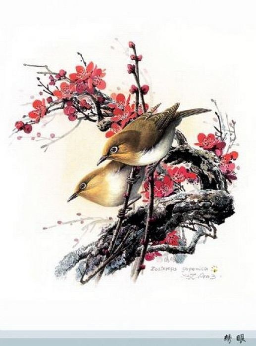精细花鸟工笔画