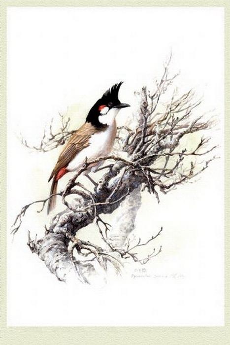 精细花鸟工笔画