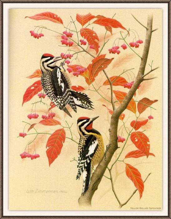 精细花鸟工笔画