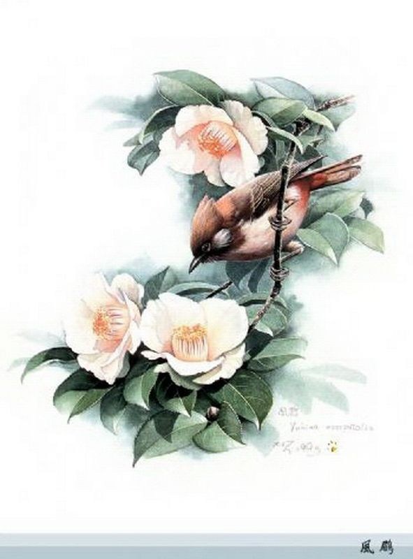 精细工笔画-3.23