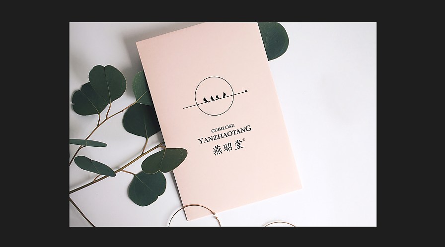 燕昭堂 品牌logo视觉 燕窝 logo 标志