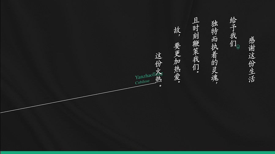 燕昭堂 品牌logo视觉 燕窝 logo 标志
