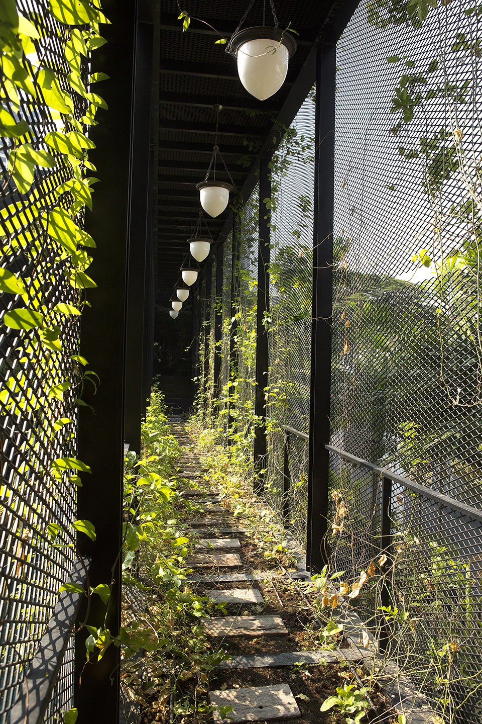 康沃尔花园住宅，新加坡 CHANG Architects