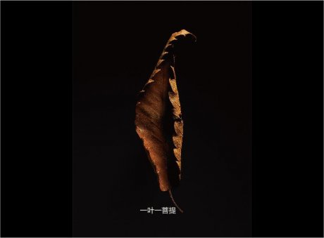 禅家园标志设计