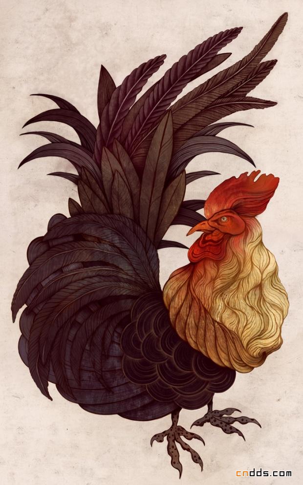 ZSO有趣的插画作品