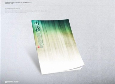 青玉枝：中国风画册欣赏