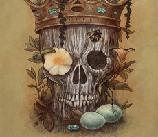 关于动物的概念插画设计欣赏