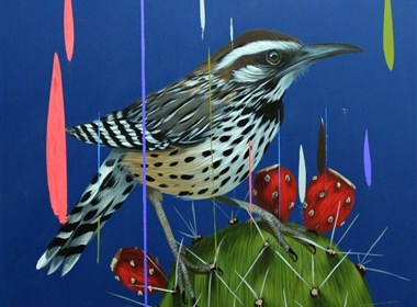 Frank Gonzales丰富多彩的鸟类插画